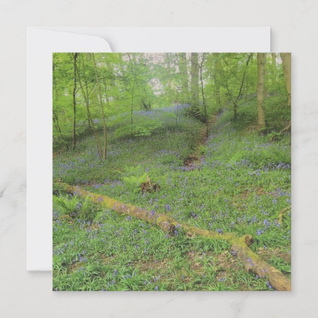 Hop Yard Wood Greetings Card (Front)