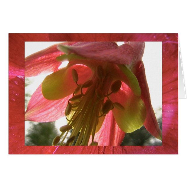 hope (Front Horizontal)