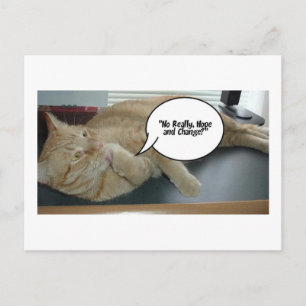 Hope and Change/Cat Humour Postcard