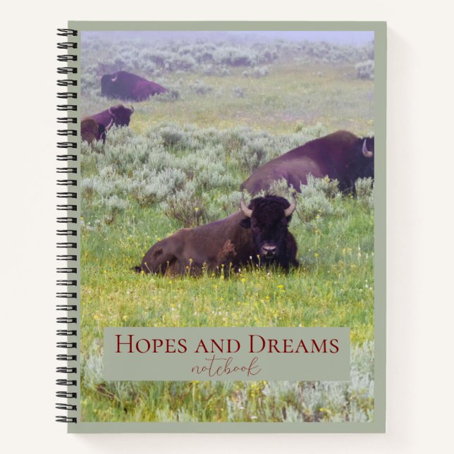 Hope and Dreams Notebook (Front)