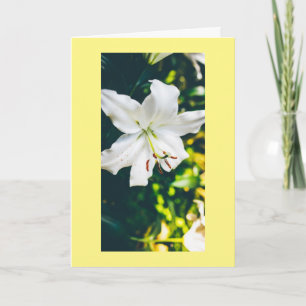 HOPE AND MORE WISHED FOR YOU AT EASTER CARD