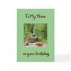 HOPE BIRTHDAY IS LIKE A PICNIC IN THE PARK *NIECE*