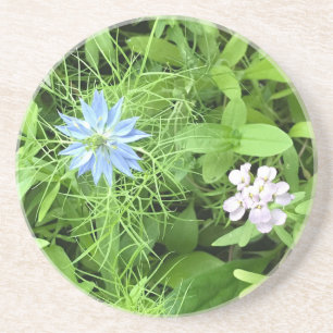Hope Coaster