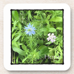 Hope Coaster