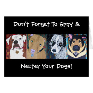 HOPE Dogs Card