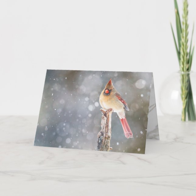 Hope, Female Red Cardinal Folded Greeting Card (Front)