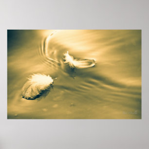 Hope is the thing with feathers poster