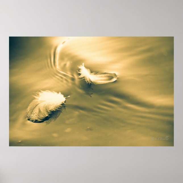 Hope is the thing with feathers poster (Front)