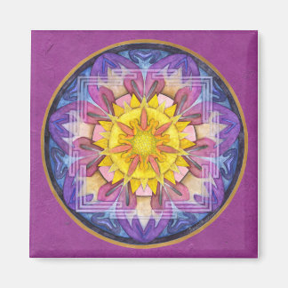 Hope Magnet