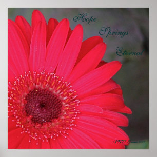 Hope Springs Eternal... Poster