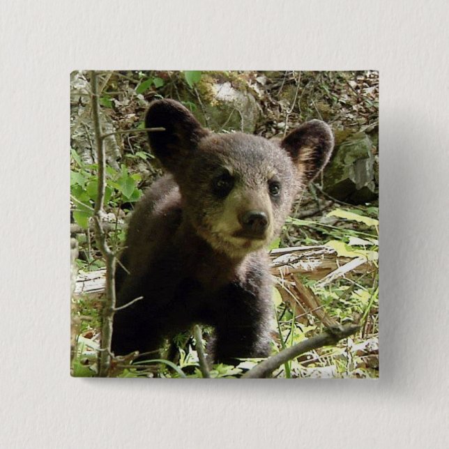 Hope The Bear Button (Front)
