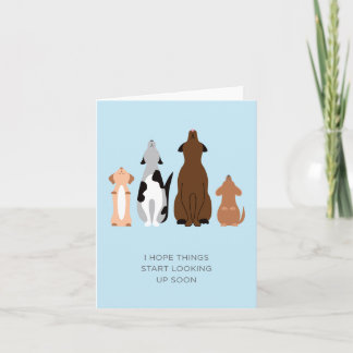 Hope Things Start Looking Up Soon Dog Sympathy Card