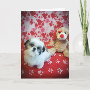 **HOPE U SAY YES TO MY QUESTION** VALENTINE CARD