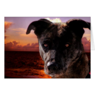 Hope Visits The Ocean