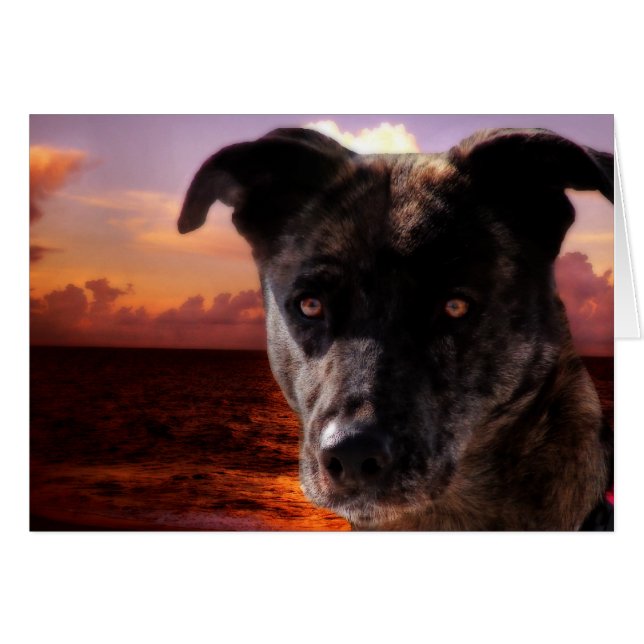 Hope Visits The Ocean (Front Horizontal)