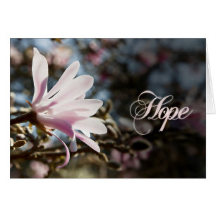 Hope with magnolia