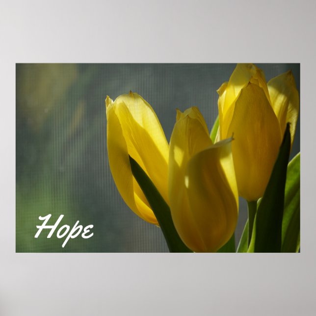 Hope - Yellow Tulip Flowers Poster (Front)