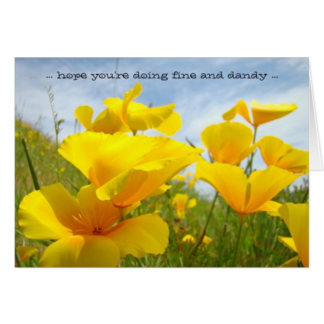 hope you're doing fine and dandy Cards Poppies (Front Horizontal)