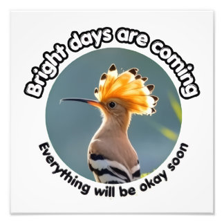 Hopeful Hoopoe Photo Print