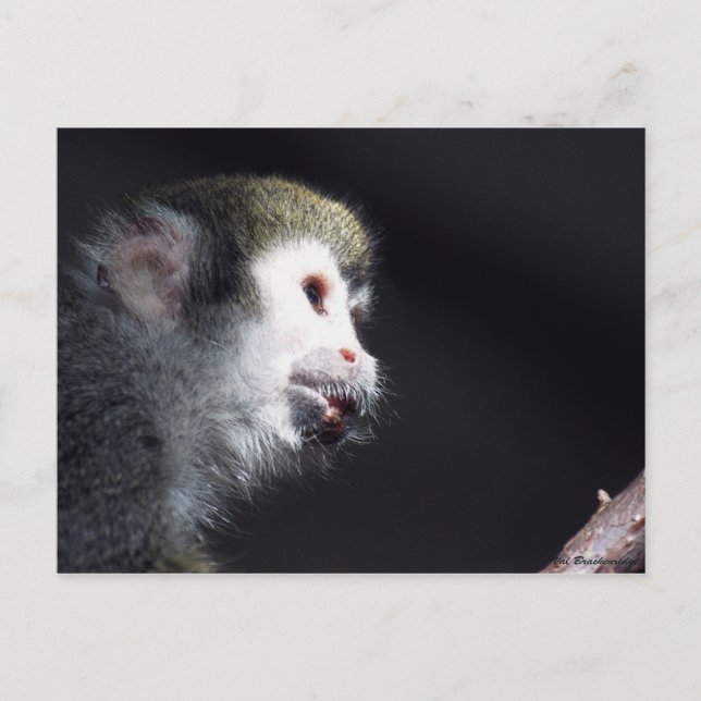 "Hopeful" Post Card (Front)