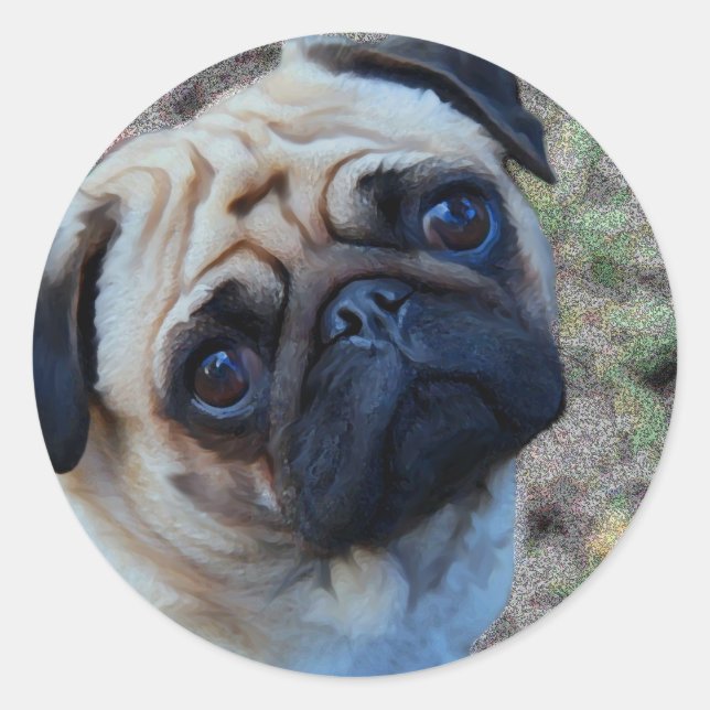 Hopeful Pug Classic Round Sticker (Front)
