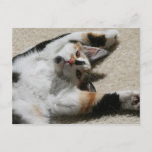 Hope's Postcard