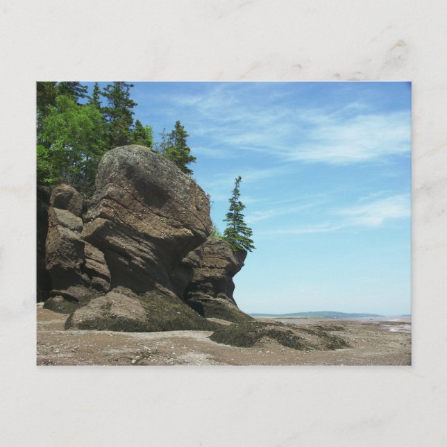 Hopewell Rocks Postcard (Front)