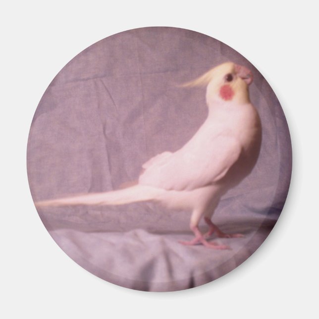 HOPPER magnet (Front)