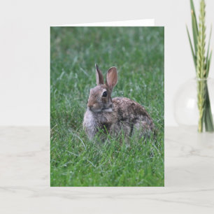 Hopping Card
