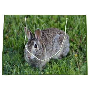 Hoppy Bummy Large Gift Bag