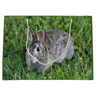 Hoppy Bummy Large Gift Bag