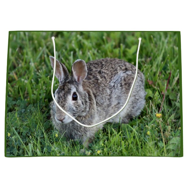 Hoppy Bummy Large Gift Bag (Front)