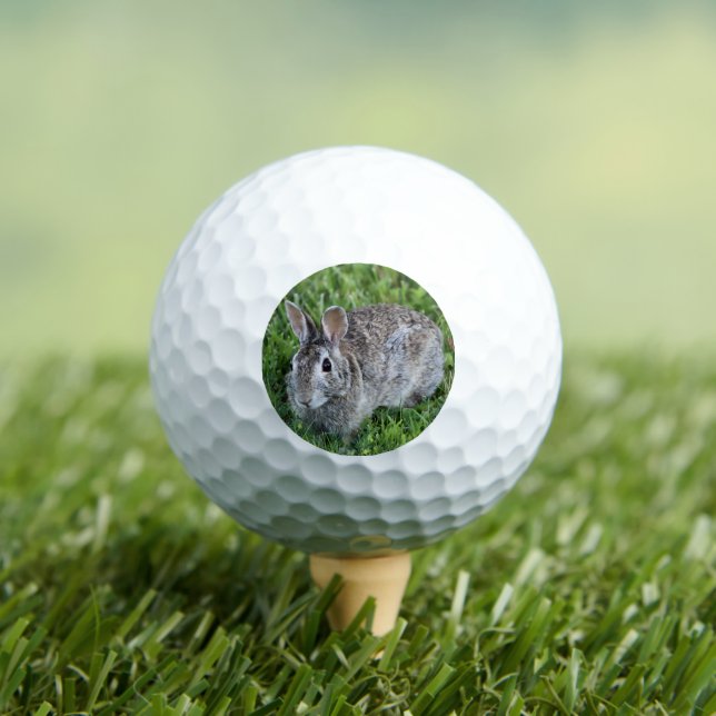 Hoppy bunny  golf balls (Insitu Tee)