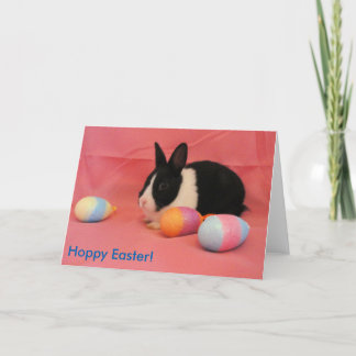 Hoppy Easter from a Dutch bunny Holiday Card