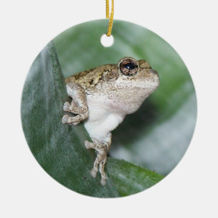 'Hoppy' Holidays! Ceramic Tree Decoration