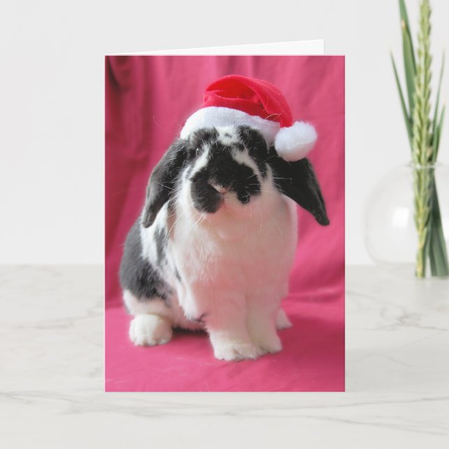 Hoppy Holidays Holiday Card (Front)