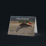 Hoppy Merry Christmas Kangaroo Red Santa Hat Card<br><div class="desc">Who doesn't love this iconic Australian animal? Make all of your family and friends' Christmas a lot happier with this unique greeting card with a stunning photo of a jumping kangaroo in mid air. For the occasion, he's dressed up with a red Santa hat! ​Wide open plains that are abundant...</div>