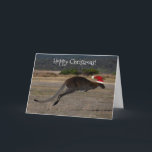 Hoppy Merry Christmas Kangaroo Red Santa Hat Card<br><div class="desc">Who doesn't love this iconic Australian animal? Make all of your family and friends' Christmas a lot happier with this unique greeting card with a stunning photo of a jumping kangaroo in mid air. For the occasion, he's dressed up with a red Santa hat! ​Wide open plains that are abundant...</div>