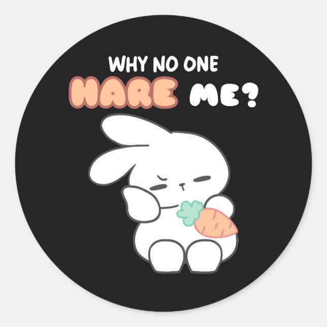 Hoppy Misunderstandings: 'Why No One Hare Me?'  Classic Round Sticker (Front)