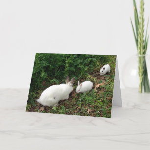 Hoppy Mother's Day Card