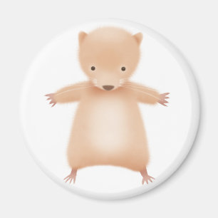 Horace the Hamster -  magnets