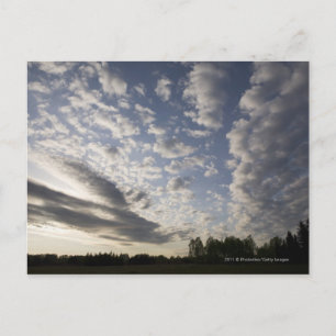 Horizon Sky View with Clouds Postcard