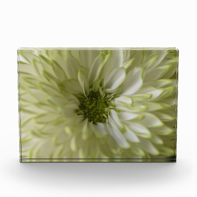 Horizontal Block Photoblock (Front)