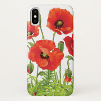 Horizontal border with red poppy