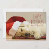 Horizontal image of a two months old Labrador
