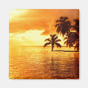 Horizontal palm tree sunset magnet