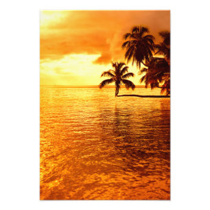 Horizontal palm tree sunset photo print