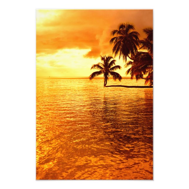Horizontal palm tree sunset photo print (Front)