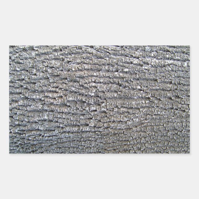 Horizontal texture of tree bark rectangular sticker (Front)