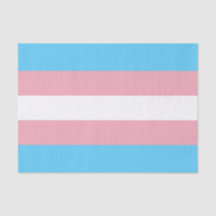 Horizontal Transgender Pride Flag